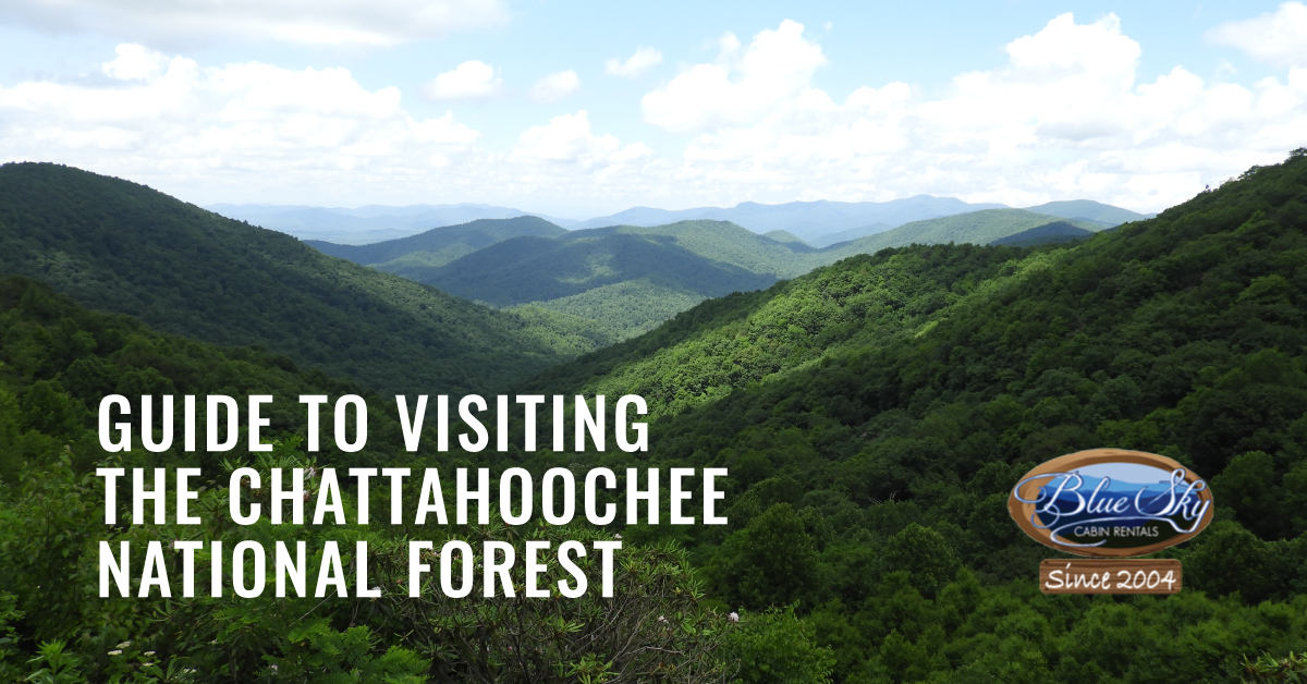 Visiting The Chattahoochee National Forest Guide Blue Sky Cabin Rentals